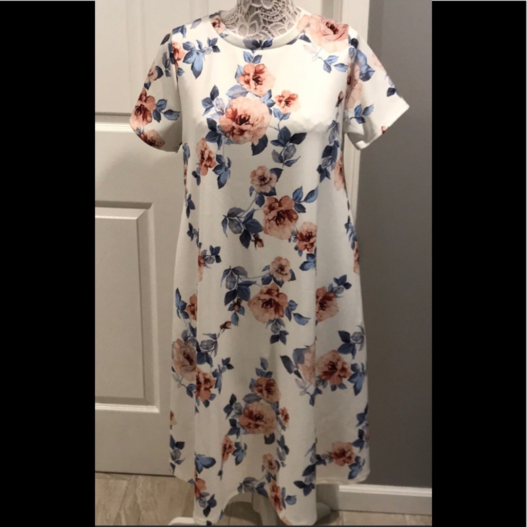 Brand New Honey  Lace Short Sleeve Napa Dress